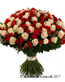 ����� ���������, 101 ���� ����