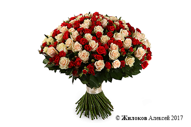 ����� ���������, 101 ���� ����