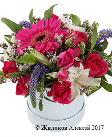 ����� ��������� � ������� �������