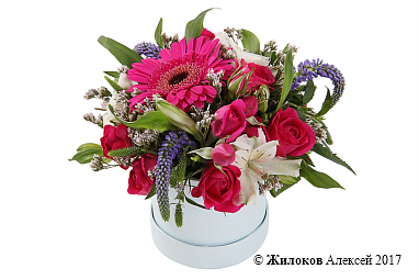 ����� ��������� � ������� �������