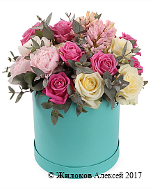 ����� �������� �������� � ������� �������