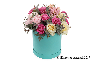 ����� �������� �������� � ������� �������