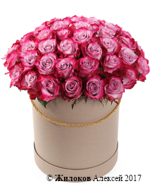 ����� 51 ���� ��� ����� � ������� �������