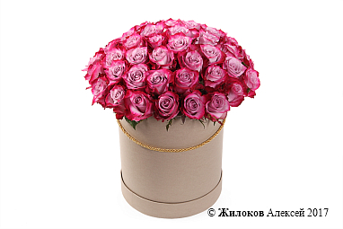 ����� 51 ���� ��� ����� � ������� �������