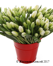 ���������� ������