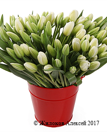 ���������� ������