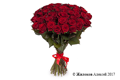 ����� �� 51 ������� ���� 60/70 ��