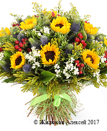 ����� � ������������ ������ ������