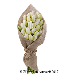 ����� ��� ���� (25 ����� ���������)