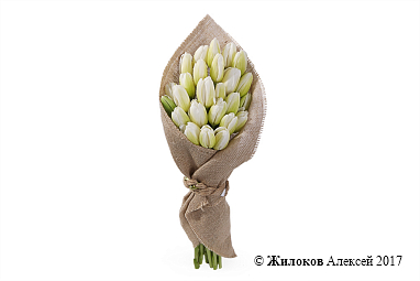 ����� ��� ���� (25 ����� ���������)