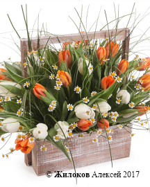 ���������� ������� ������ � �����