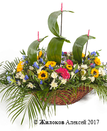 ���������� �������