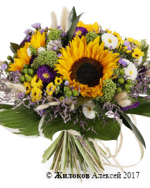 ����� ������ �������