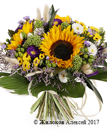 ����� ������ �������