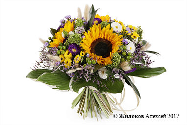 ����� ������ �������