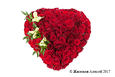 ����� ������� ������