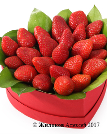 ���������� �������� ���� � ������� ������� ������