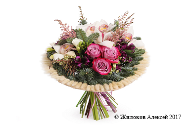 ����� ������� �����