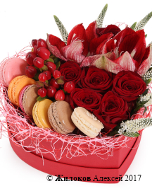 ����� ���� ������ � ������� ������� ������