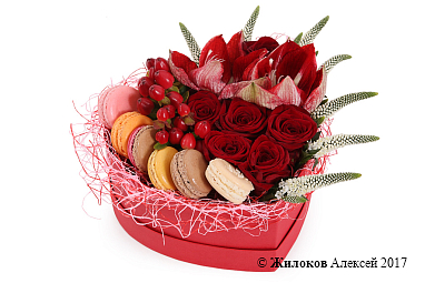 ����� ���� ������ � ������� ������� ������