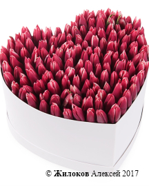 ���������� �������� ����������� � ������� ������� ������ (�����), ����