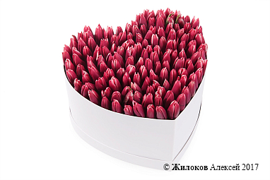 ���������� �������� ����������� � ������� ������� ������ (�����), ����