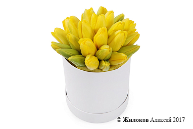 ����� 25 ����������� ��������� � ����� ������� �������, ������