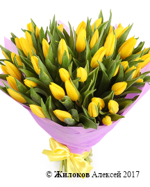 ����� 51 �������, ������