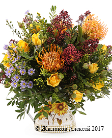 ����� ������ ���