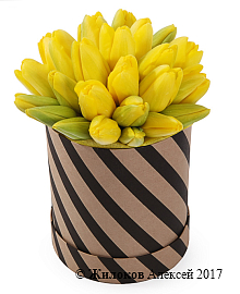 ����� 25 ����������� ��������� � ������� �������, ������