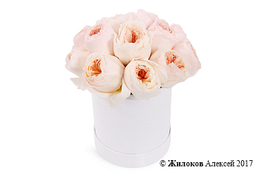 ����� ������� ������ � ������� �������