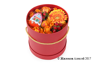 ����� ��������� ������������ � ������� �������