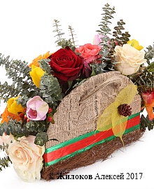 ����� ������� �������