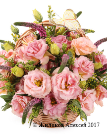 ����� ��������� ������