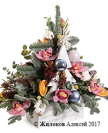 ����� ���������� ���� � �����