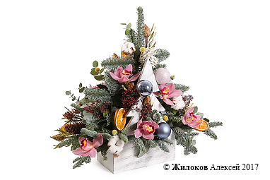 ����� ���������� ���� � �����