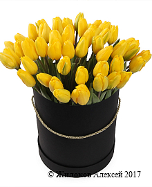 ����� 51 ������� � ������ ������� �������, ������