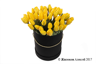 ����� 51 ������� � ������ ������� �������, ������