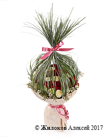 ����� �������