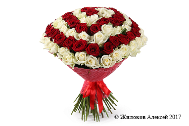 ����� �� ��� ������������� (101 ����)