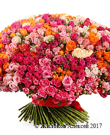 ����� 301 �������