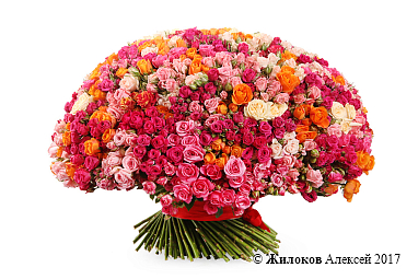 ����� 301 �������