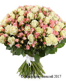 ����� ������������� �����, 101 ����