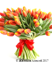 ����� 101 �������, �����