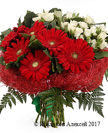 ����� ���������� ������������������