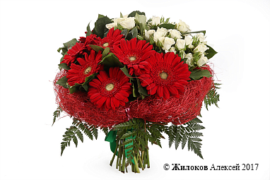 ����� ���������� ������������������