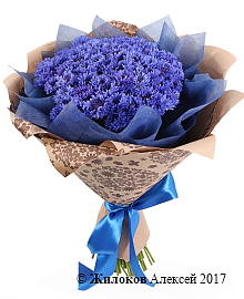 ����� �� ��������� �������� ������