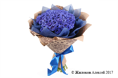 ����� �� ��������� �������� ������