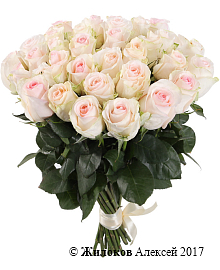 ����� 31 ���� ���������