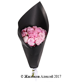 ����� �� ������ ������ ���������